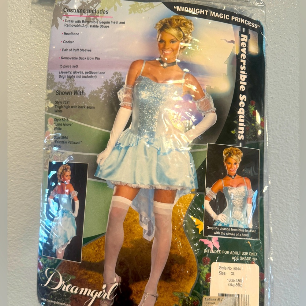 Cinderella Halloween costume